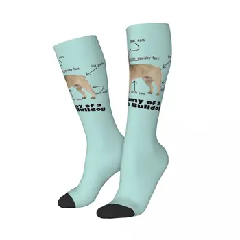 Custom Women Анатомия Французского Бульдога Чулки 3D-печать Frenchie Dog Lover Knee High Tube Socks